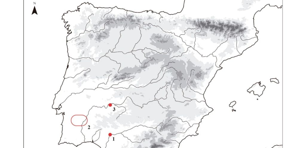 Yacimientos de la Edad del Hierro