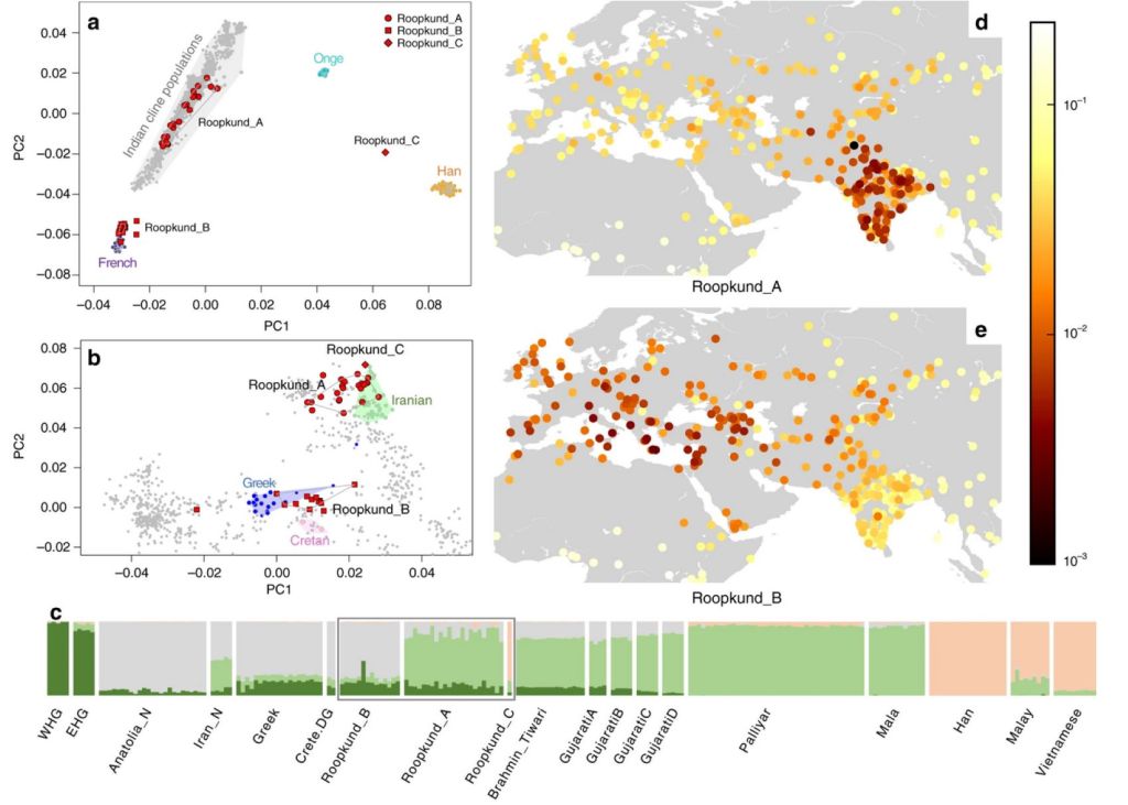 Genética de los esqueletos del lago Roopkund