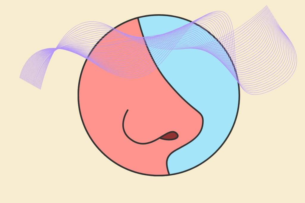 Biología cuántica- cuando la vida usa las reglas de lo diminuto 1