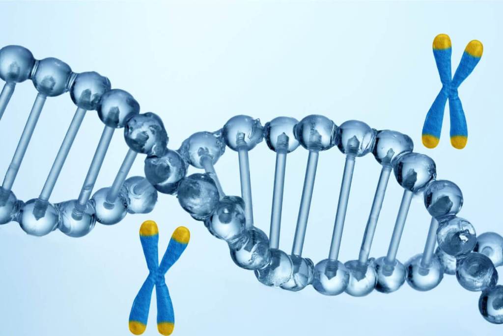 Biología cuántica- cuando la vida usa las reglas de lo diminuto 2