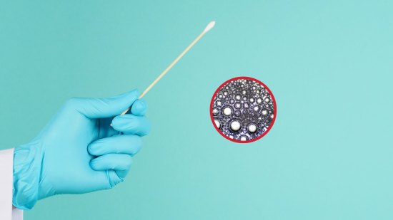 Científicos descubren cómo un virus escondido en la saliva activa una enfermedad autoinmune