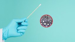 Científicos descubren cómo un virus escondido en la saliva activa una enfermedad autoinmune