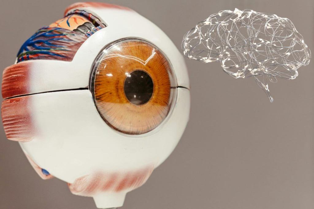 El futuro que promete la IA en salud- ¿utopía o herramienta? Un estudio revela cómo redefine pacientes, médicos y cuidados 1