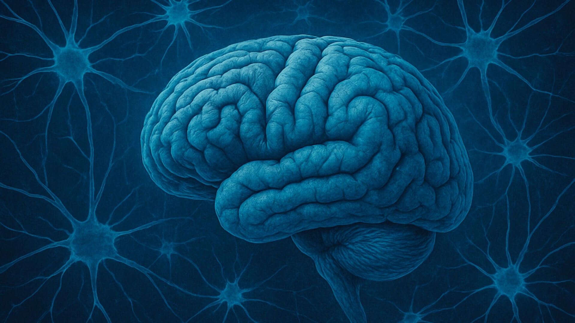 El mapa oculto de la depresión- la ciencia identifica las huellas biológicas de la depresión en dos tipos de células