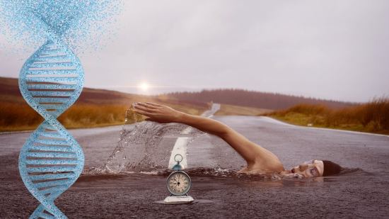 Este es el vínculo entre el deporte, el reloj biológico y el envejecimiento epigenético que la ciencia empieza a desvelar