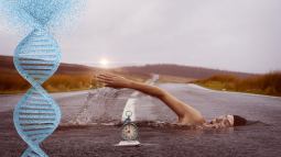 Este es el vínculo entre el deporte, el reloj biológico y el envejecimiento epigenético que la ciencia empieza a desvelar