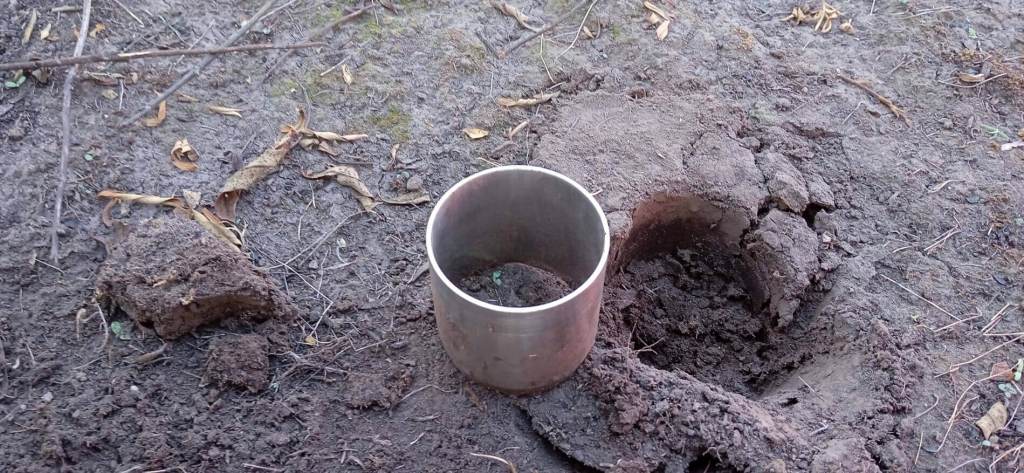 Supervivientes invisibles bajo las cenizas de los grandes incendios 4
