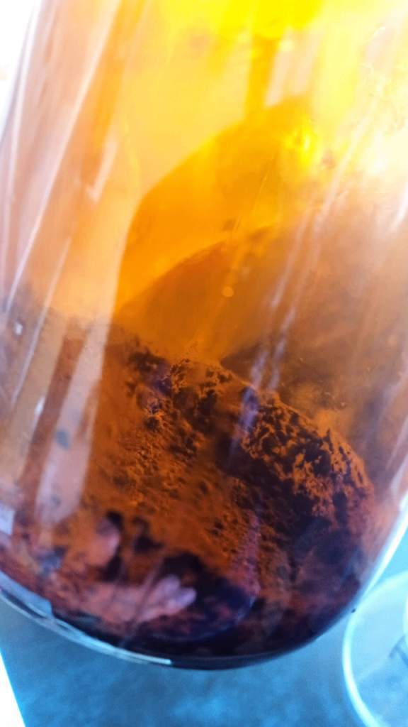 Supervivientes invisibles bajo las cenizas de los grandes incendios 6