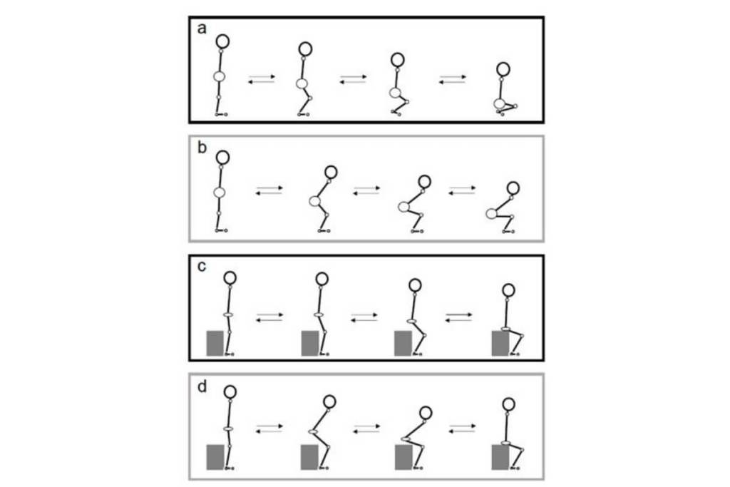 Un ejercicio japonés inspirado en los samuráis podría ayudar a mantener la independencia en la vejez---