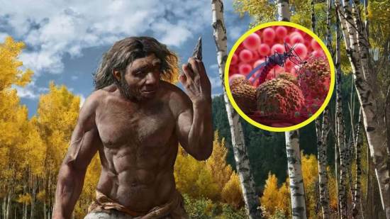 El ADN denisovano podría hacer que algunas personas sean más resistentes a la malaria