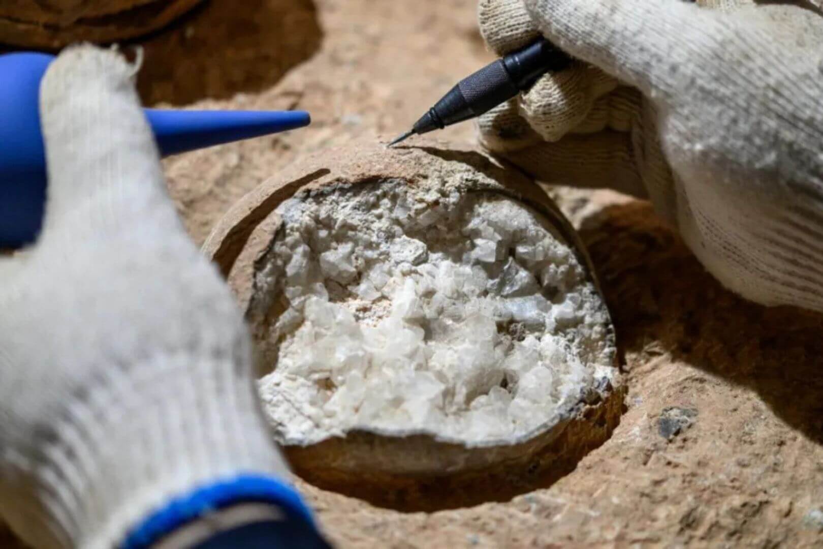 Por primera vez logran fechar huevos de dinosaurio de hace 85 millones de años con una técnica que actúa como un reloj atómico del pasado