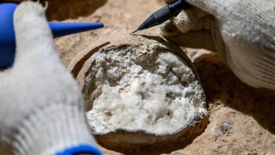 Por primera vez logran fechar huevos de dinosaurio de hace 85 millones de años con una técnica que actúa como un reloj atómico del pasado