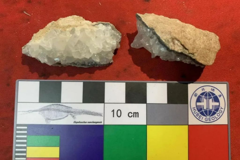 Muestras de huevos fosilizados de dinosaurio analizadas para determinar su antigüedad