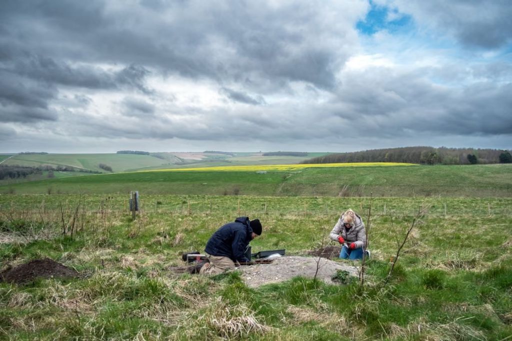 Arqueólogos trabajan en las excavaciones del yacimiento de East Chisenbury, una colina artificial formada por siglos de restos de banquetes prehistóricos