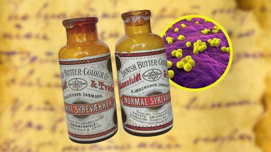 Unas botellas olvidadas durante 130 años revelan cómo Dinamarca convirtió la mantequilla en un producto global... con bacterias contaminadas