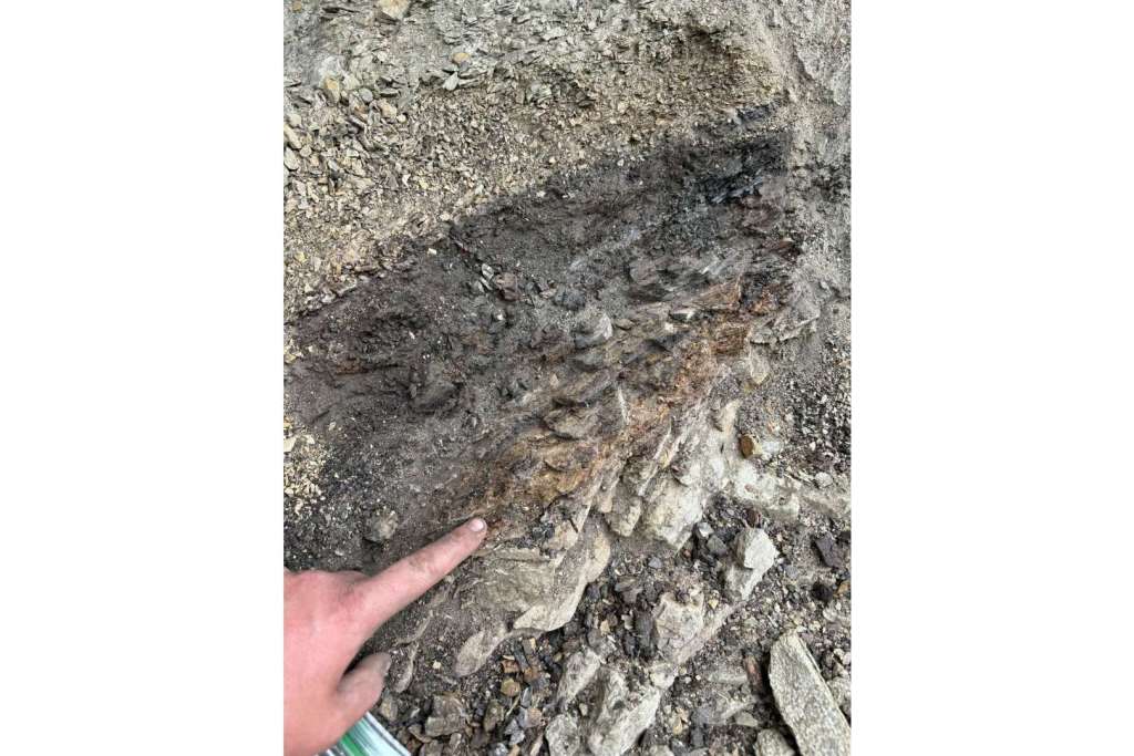 El paleontólogo Luke Weaver, de la Universidad de Míchigan, señala la capa rica en iridio, un rastro químico que quedó depositado en gran parte del planeta tras el impacto del asteroide que acabó con los dinosaurios