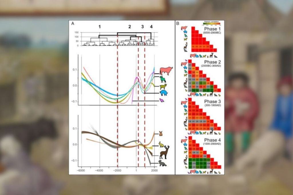 Evolución del tamaño de los animales a lo largo del tiempo