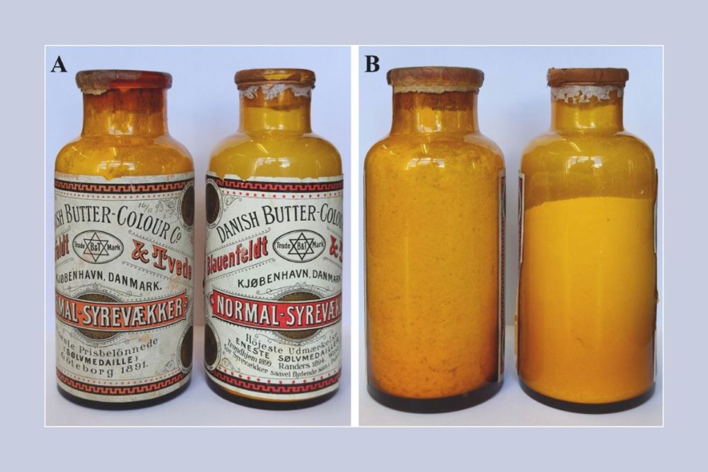 Se han vuelto a encontrar, después de 130 años, unas botellas que conservaban bacterias lácticas utilizadas como conservante alimentario