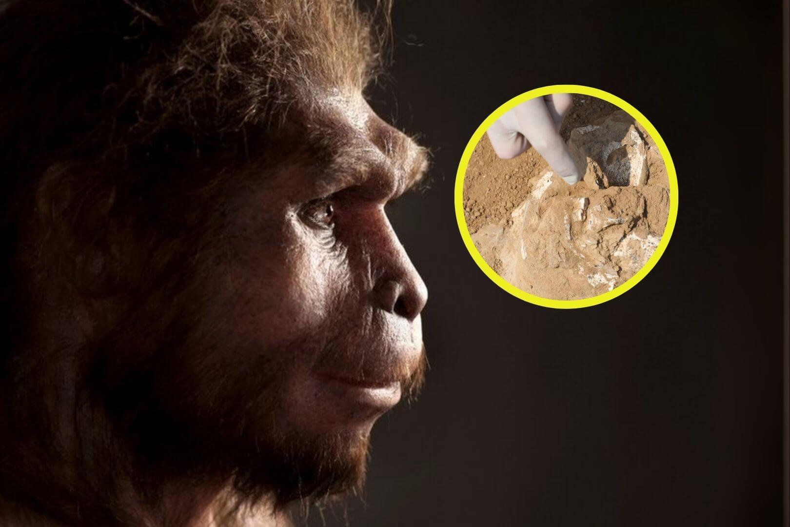 Hallan en el Cáucaso un fósil humano que cambia lo que sabíamos de las primeras migraciones