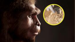 Hallan en el Cáucaso un fósil humano que cambia lo que sabíamos de las primeras migraciones