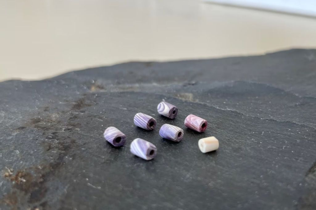 A principios de este verano, un equipo de arqueólogos desenterró en la antigua colonia de Avalon, en Ferryland, siete diminutas cuentas de concha