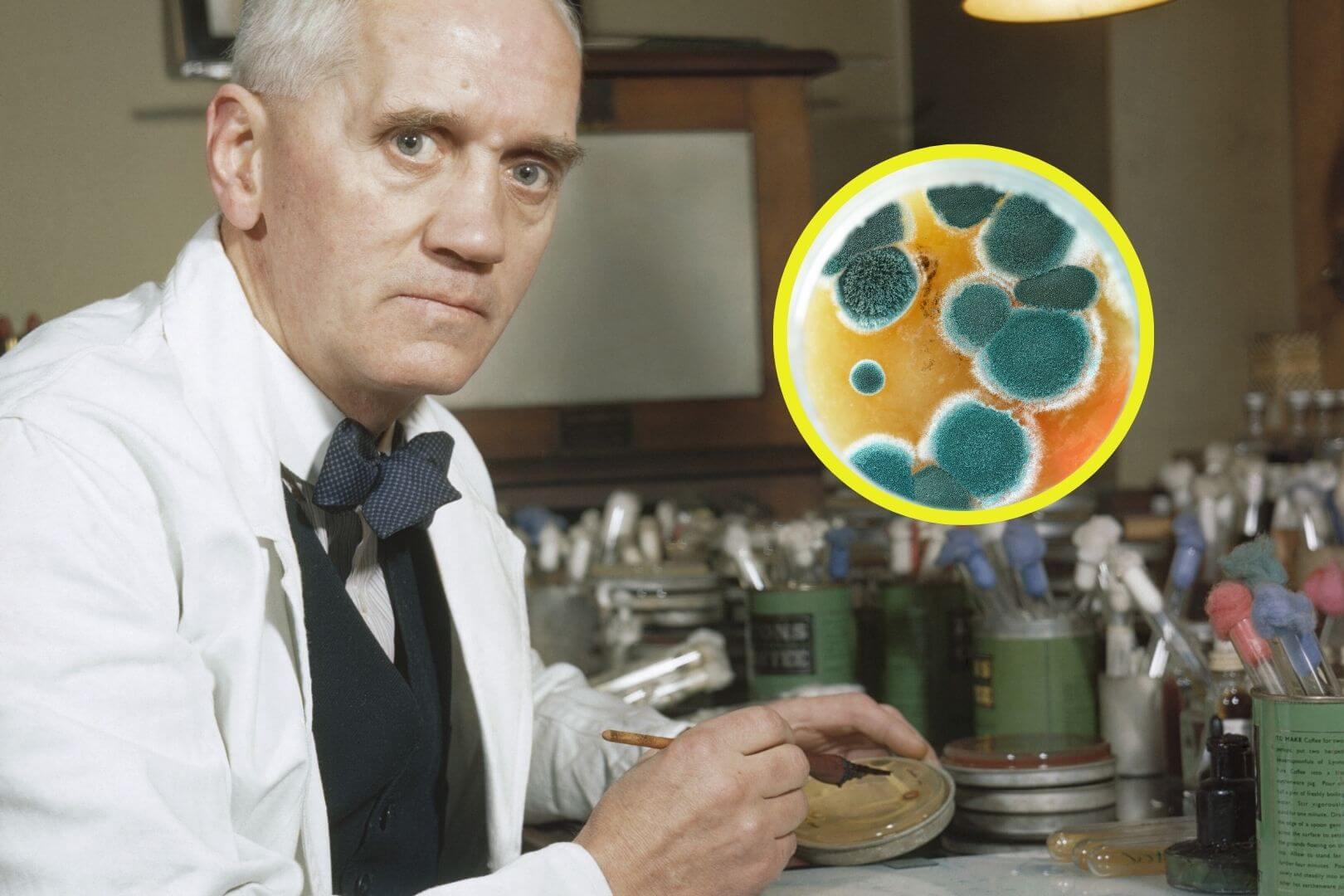 Un simple moho en una placa de Petri cambió la historia de la medicina para siempre en 1928, y nadie lo vio venir