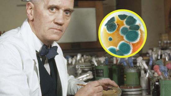 Un simple moho en una placa de Petri cambió la historia de la medicina para siempre en 1928, y nadie lo vio venir