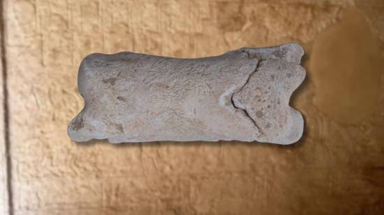En un yacimiento del Egipto faraónico, un equipo de arqueólogos ha descubierto un curioso silbato de hueso con más de 3.000 años de antigüedad