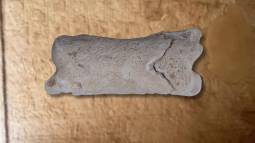 En un yacimiento del Egipto faraónico, un equipo de arqueólogos ha descubierto un curioso silbato de hueso con más de 3.000 años de antigüedad