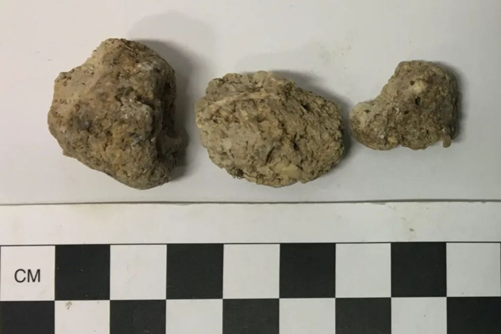 Restos de heces humanas conservadas de Durrington Walls