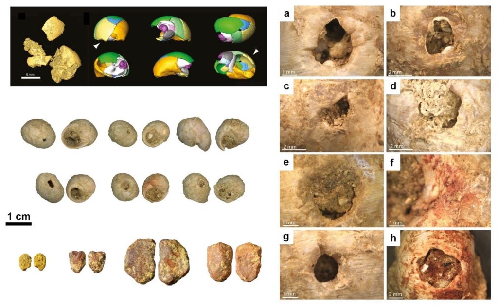 Joyería paleolítica
