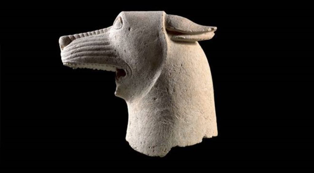 Cabeza de lobo de El Pajarillo