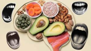 El hambre puede transformar el cerebro: neurocientíficos explican cómo reprograma las prioridades y altera la empatía en animales