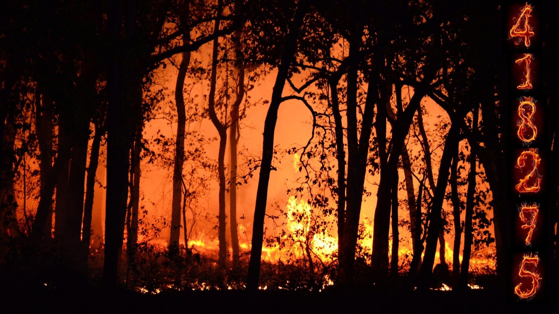 Matemáticas en el monte ¿pueden ayudarnos en la lucha contra los incendios?