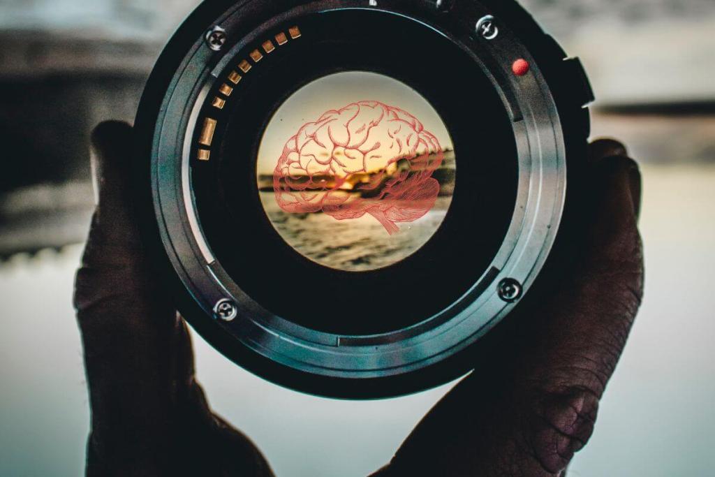 El cerebro enfoca como una cámara- primero mira lo general y luego hace zoom en los detalles, según la ciencia 1