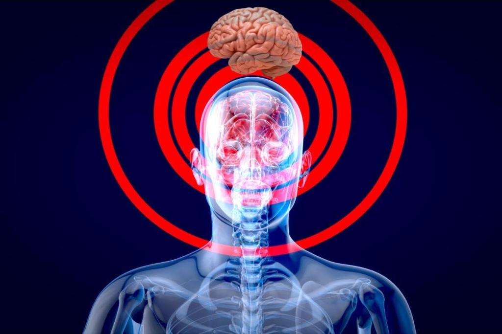 El cerebro enfoca como una cámara- primero mira lo general y luego hace zoom en los detalles, según la ciencia 2