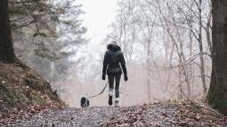 Científicos descubren que trabajar con perros mejora la salud del cuerpo y la mente