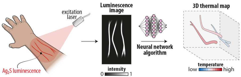 El método permite obtener imágenes térmicas tridimensionales con una precisión menor a 1 °C y una resolución espacial de 0,25 mm.