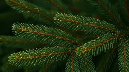 Recreación artística de las agujas de un abeto rojo con nanopartículas de oro brillando en su superficie, inspirada en el hallazgo científico realizado en Finlandia