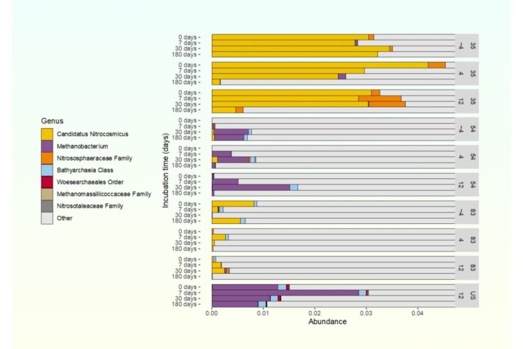 Presencia significativa de arqueas en las muestras obtenidas en el Túnel de Investigación del Permafrost, cerca de Fairbanks, Alaska