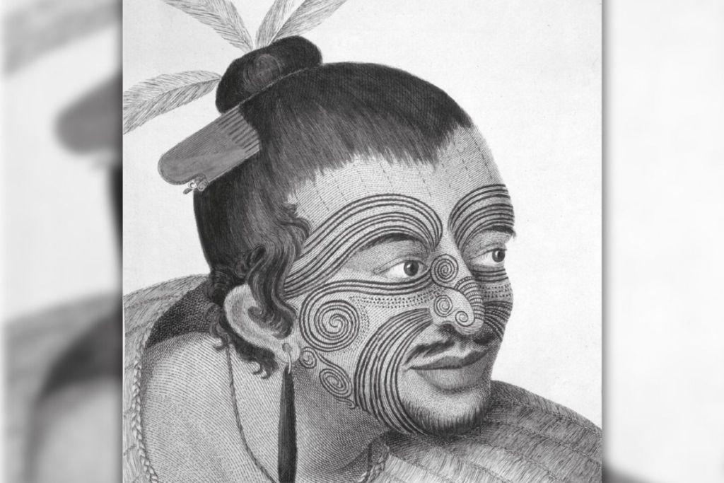 Boceto de un jefe maorí (Sydney Parkinson, 1784)