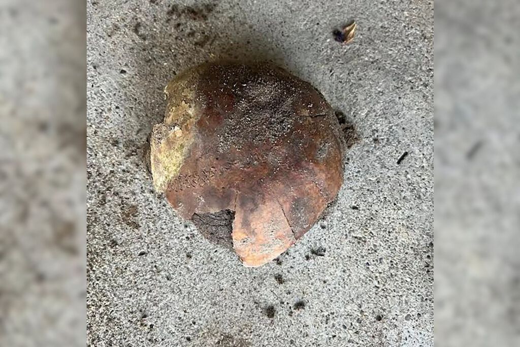 El fragmento de cráneo hallado en junio junto a la ribera de un río en Indiana podría haber pertenecido a una persona vinculada a alguna de las antiguas tribus que habitaron la región, según informaron las autoridades