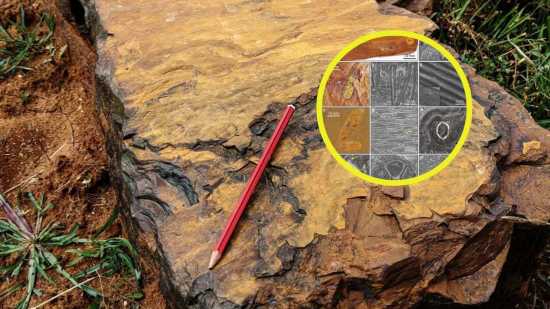 Bajo tierras áridas de Australia, un lago fosilizado escondía uno de los secretos mejor guardados de la historia evolutiva terrestre