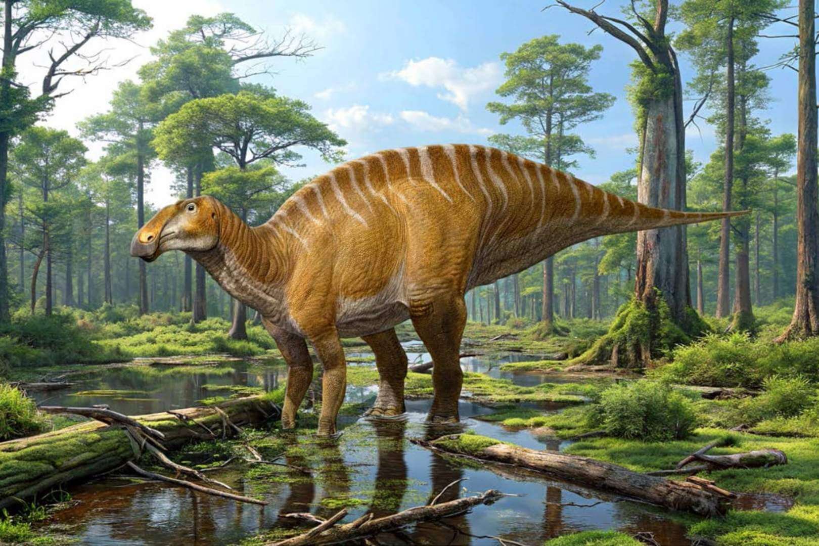 Una nueva especie de dinosaurio herbívoro ha sido identificada en el suroeste de Estados Unidos, revelando datos clave sobre la diversidad de fauna en el Cretácico tardío