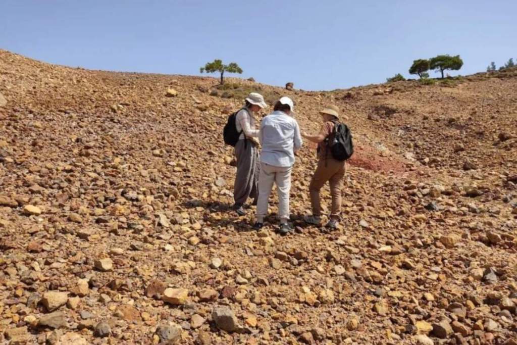 Las herramientas de la Edad de Hielo descubiertas en Ayvalık apuntan a que los primeros humanos pudieron atravesar esta zona en su ruta de África hacia Europa