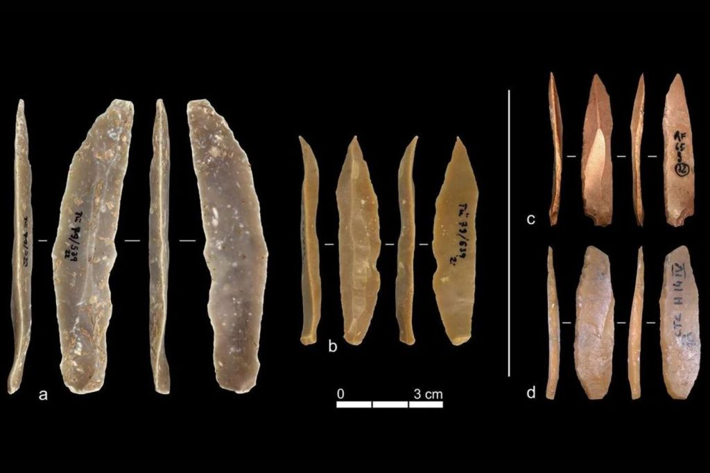 Ejemplos de herramientas de piedra pertenecientes a la cultura ahmariense halladas en el yacimiento de Ksar Akil