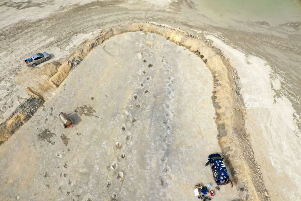 Las huellas fosilizadas de dinosaurios saurópodos, con una antigüedad de 166 millones de años, fueron halladas en la cantera Dewars Farm, en Oxfordshire, Inglaterra