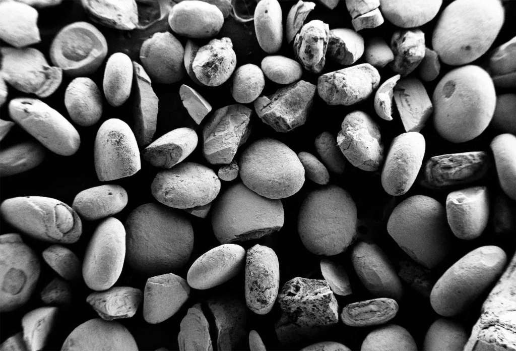 ooides de óxido de hierro observados al microscopio electrónico revelan su forma ovalada y su compleja estructura interna. (Imagen: Nir Galili / ETH Zürich)