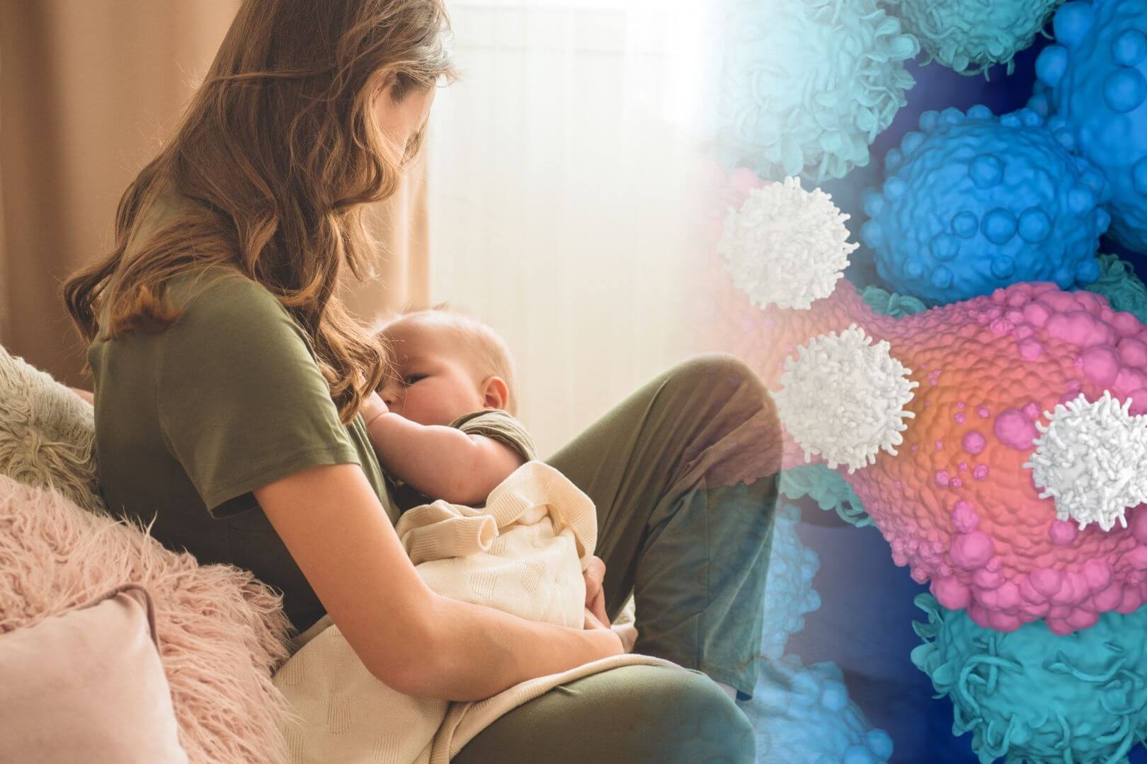 Durante décadas se ha sabido que amamantar reduce el riesgo de cáncer de mama, pero ahora la ciencia podría haber descubierto por fin el motivo que lo explica