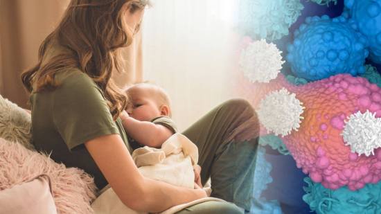 Durante décadas se ha sabido que amamantar reduce el riesgo de cáncer de mama, pero ahora la ciencia podría haber descubierto por fin el motivo que lo explica